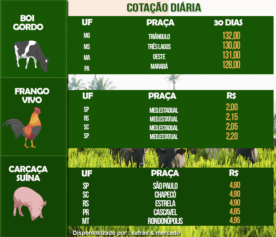 Indicadores